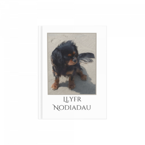 Llyfr nodiadau Cavalier King Charles Spaniel (Clawr Caled)